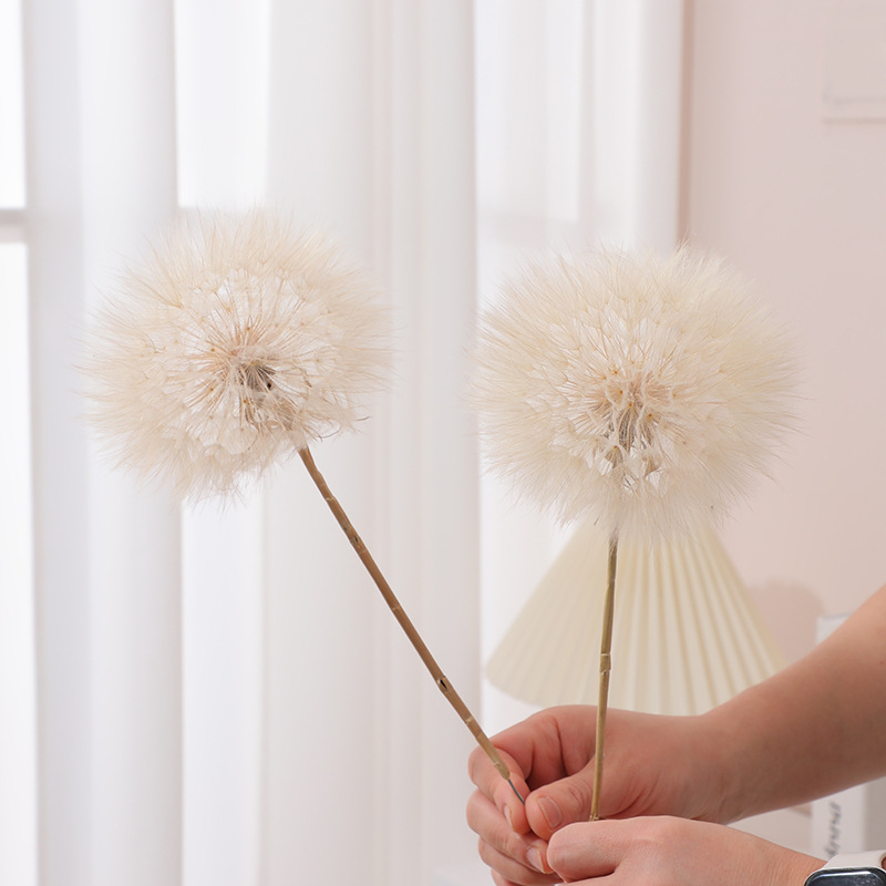 Konservierte Löwenzahnblüten D – Resin Crafts Diy Bewertung und Preis